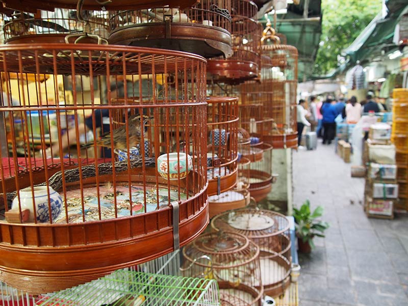 香港バードガーデン　鳥かご