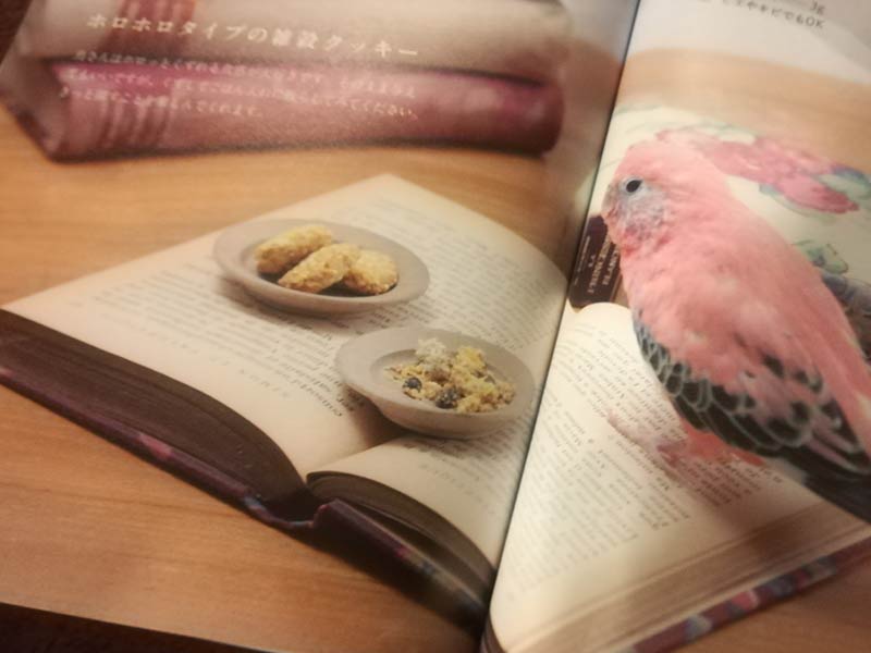 小鳥ごはんレシピ本を見てインコ用クッキーを作ってみた 赤ヘルインコ