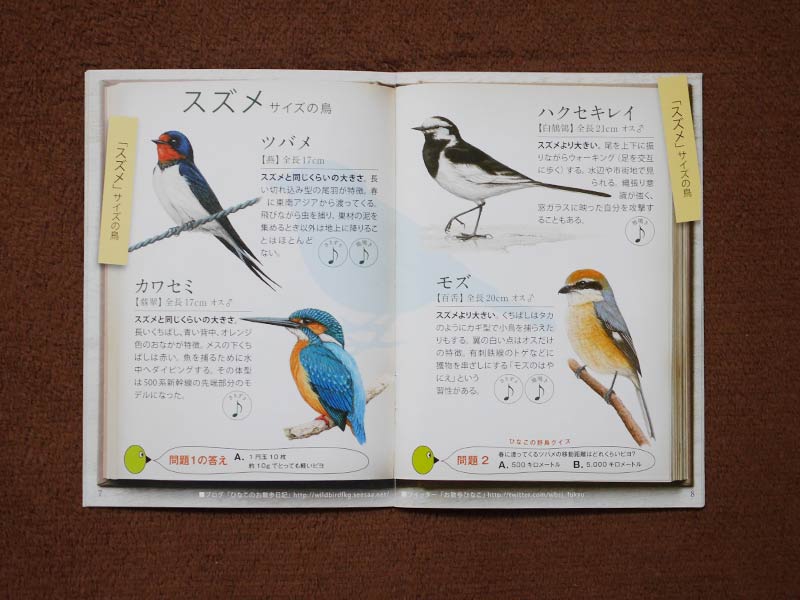 おさんぽ鳥図鑑4