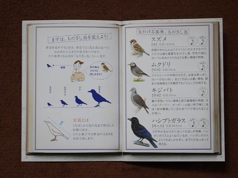 おさんぽ鳥図鑑3
