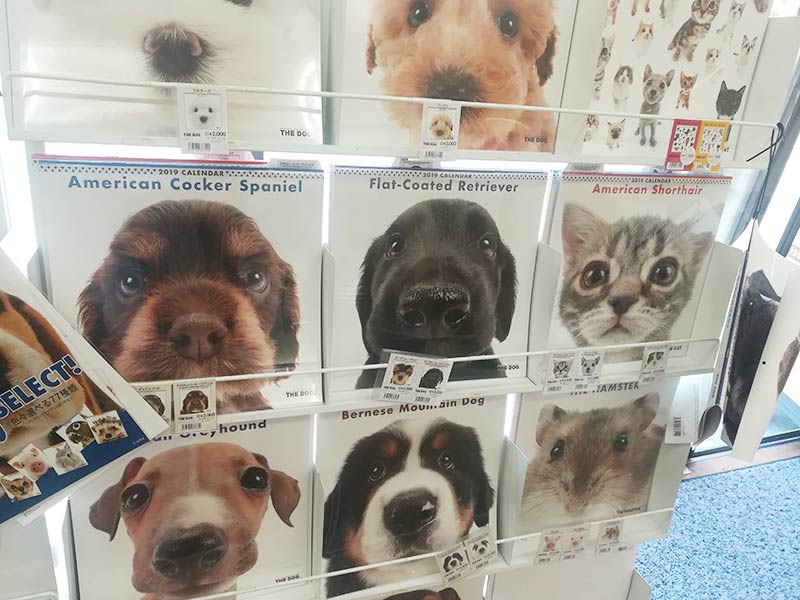 the dog カレンダー